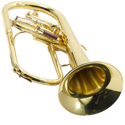 S.E. Shires Model FG8VP 'Vintage Paris' Custom Bb Flugelhorn