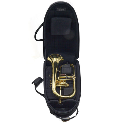 S.E. Shires Model FG8VP 'Vintage Paris' Custom Bb Flugelhorn