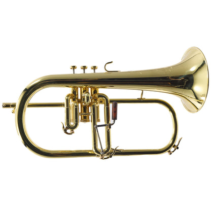 S.E. Shires Model FG8VP 'Vintage Paris' Custom Bb Flugelhorn