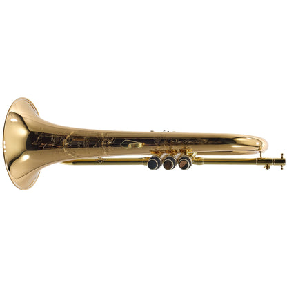 S.E. Shires Model FGSOLO 'Solo' Custom Bb Flugelhorn