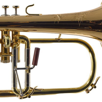 S.E. Shires Model FGSOLO 'Solo' Custom Bb Flugelhorn