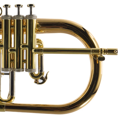 S.E. Shires Model FGSOLO 'Solo' Custom Bb Flugelhorn