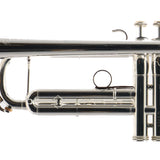 S.E. Shires Model Q10RS Q-Series Professional Bb Trumpet SN Q3364