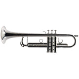 S.E. Shires Model Q10RS Q-Series Professional Bb Trumpet SN Q3825