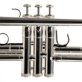 S.E. Shires Model Q10S Q-Series Professional Bb Trumpet MINT CONDITION- for sale at BrassAndWinds.com