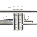 S.E. Shires Model Q11RS Q-Series Professional C Trumpet BRAND NEW- for sale at BrassAndWinds.com
