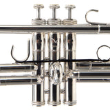 S.E. Shires Model Q11RS Q-Series Professional C Trumpet MINT CONDITION- for sale at BrassAndWinds.com