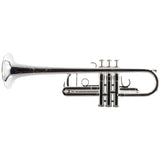 S.E. Shires Model Q13S Q-Series Professional C Trumpet in SN Q13820