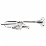 S.E. Shires Model Q15S Professional Eb/D Trumpet SN 7973 OPEN BOX- for sale at BrassAndWinds.com