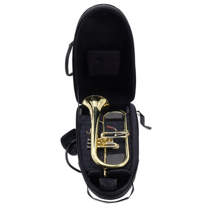 S.E. Shires Model Q19 Q-Series Professional Flugelhorn