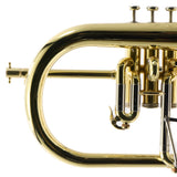 S.E. Shires Model Q19 Q-Series Professional Flugelhorn SN Q21376