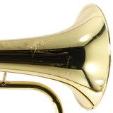 S.E. Shires Model Q19 Q-Series Professional Flugelhorn SN Q21376