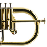 S.E. Shires Model Q19 Q-Series Professional Flugelhorn SN Q21376