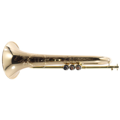 S.E. Shires Model Q19G Q-Series Professional Flugelhorn
