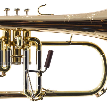 S.E. Shires Model Q19G Q-Series Professional Flugelhorn