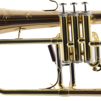 S.E. Shires Model Q19G Q-Series Professional Flugelhorn