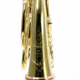 S.E. Shires Model Q20U Geyer-Wrap Double French Horn MINT CONDITION- for sale at BrassAndWinds.com