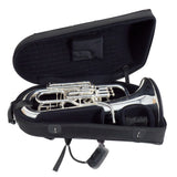 S.E. Shires Model Q40TS Q-Series Compensating Euphonium SN 9305 OPEN BOX- for sale at BrassAndWinds.com