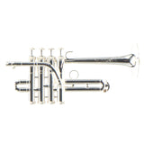 S.E. Shires Model Q9S Q-Series Professional Piccolo Trumpet BRAND NEW- for sale at BrassAndWinds.com