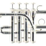 S.E. Shires Model Q9S Q-Series Professional Piccolo Trumpet BRAND NEW- for sale at BrassAndWinds.com