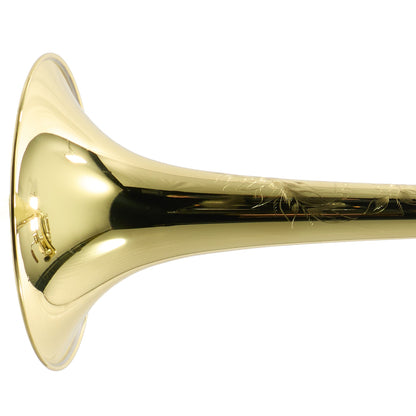 S.E. Shires Model STBSCA Custom Professional Tenor Trombone