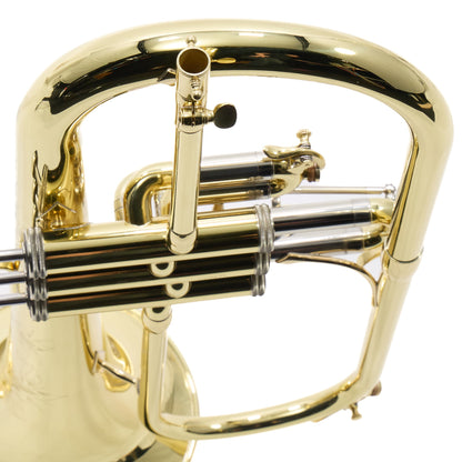 S.E. Shires Q19 Q-Series Professional Flugelhorn in Lacquer
