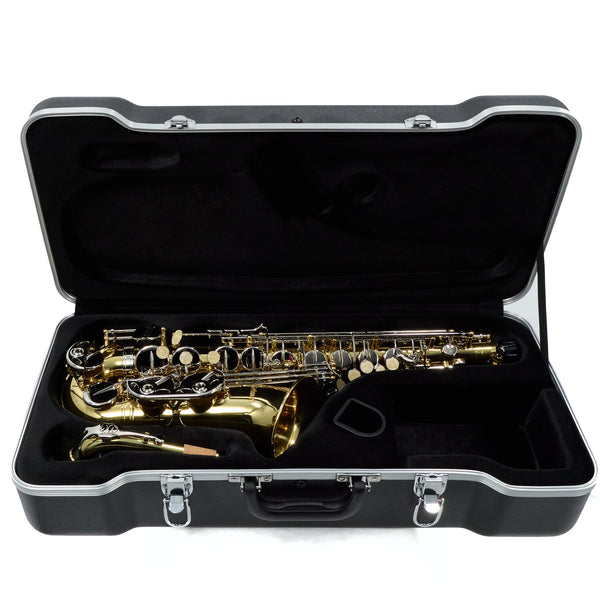 Selmer Model SAS202 Student Alto Saxophone SN AJ0625207 GORGEOUS- for sale at BrassAndWinds.com