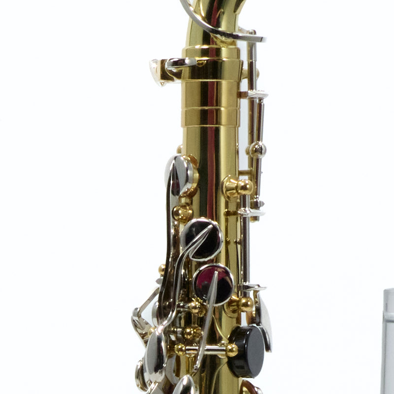 Selmer Model SAS202 Student Alto Saxophone SN AJ06625131 GORGEOUS- for sale at BrassAndWinds.com