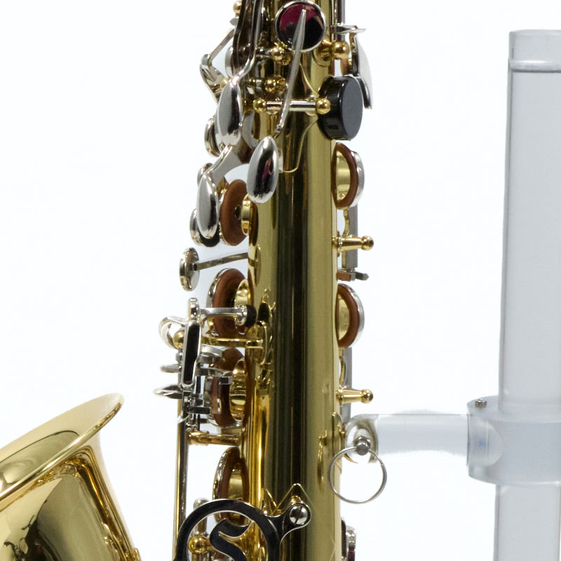 Selmer Model SAS202 Student Alto Saxophone SN AJ06625131 GORGEOUS- for sale at BrassAndWinds.com
