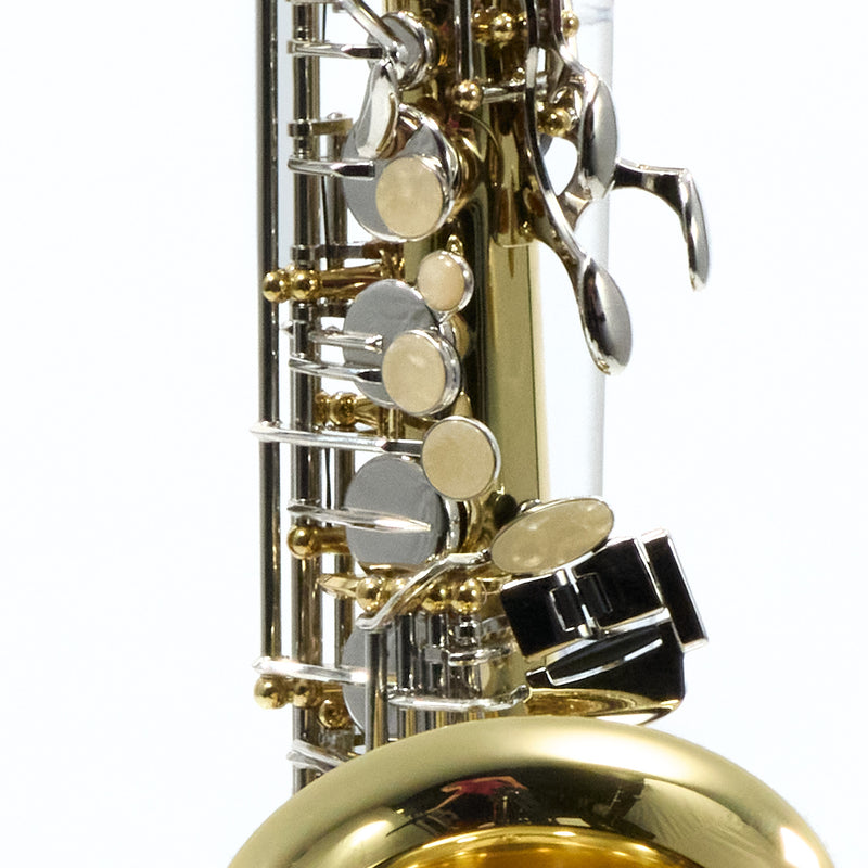 Selmer Model SAS202 Student Alto Saxophone SN AJ06625131 GORGEOUS- for sale at BrassAndWinds.com