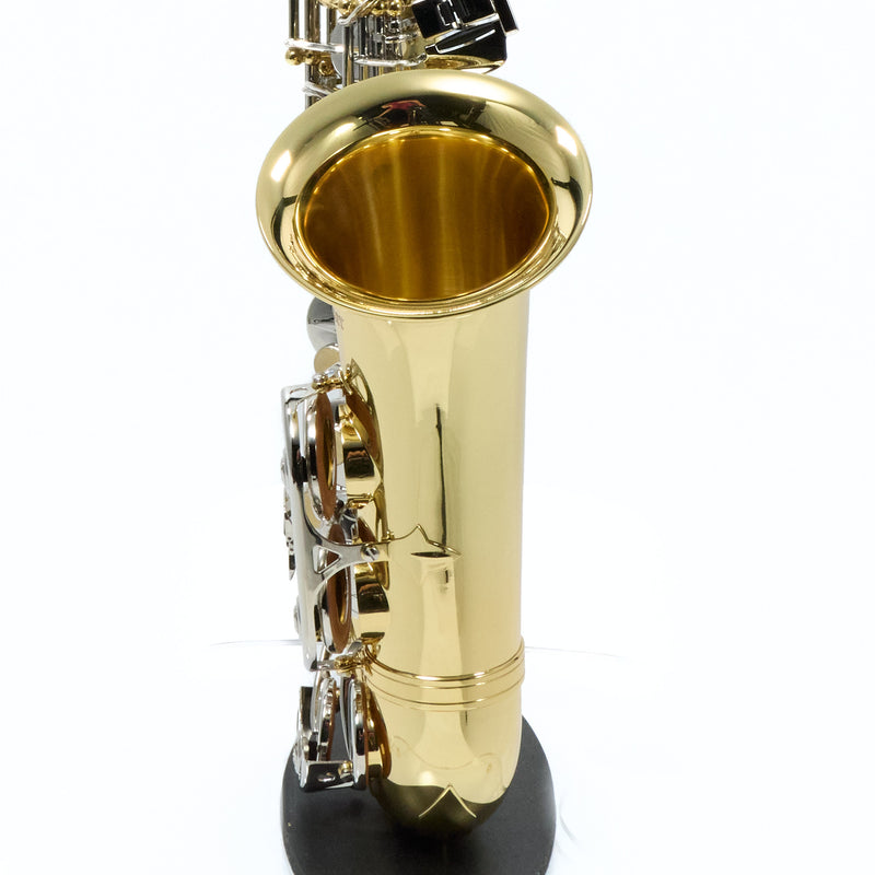 Selmer Model SAS202 Student Alto Saxophone SN AJ06625131 GORGEOUS- for sale at BrassAndWinds.com