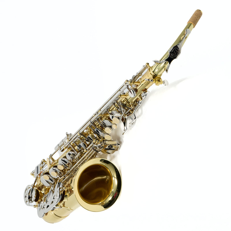 Selmer Model SAS202 Student Alto Saxophone SN AJ06625131 GORGEOUS- for sale at BrassAndWinds.com