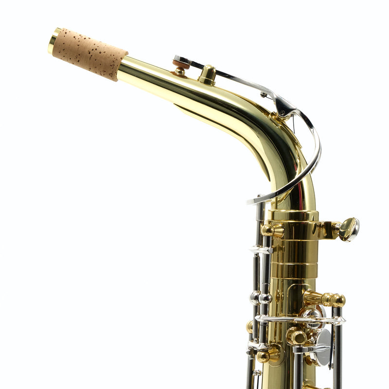 Selmer Model SAS202 Student Alto Saxophone SN AJ06625131 GORGEOUS- for sale at BrassAndWinds.com
