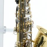 Selmer Model SAS202 Student Alto Saxophone SN AJ06625131 GORGEOUS- for sale at BrassAndWinds.com