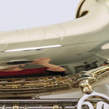 Selmer Model SAS301 Student Alto Saxophone SN AT22422005 OPEN BOX- for sale at BrassAndWinds.com