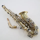 Selmer Model SAS301 Student Alto Saxophone SN AT22422005 OPEN BOX- for sale at BrassAndWinds.com