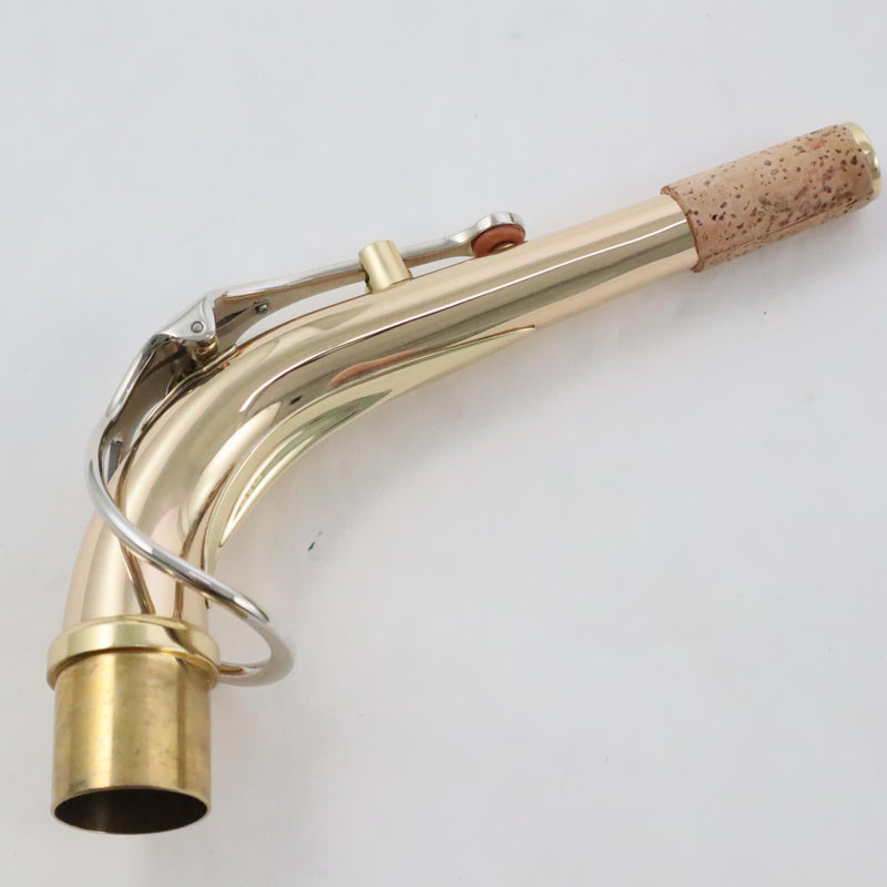 Selmer Model SAS301 Student Alto Saxophone SN AT22422005 OPEN BOX- for sale at BrassAndWinds.com