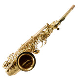 Selmer Model SAS511 Alto Saxophone in Clear Lacquer SN 24127960