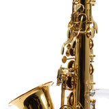 Selmer Model SAS511 Alto Saxophone in Clear Lacquer SN 24127960