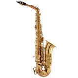 Selmer Model SAS511C Intermediate Alto Saxophone BRAND NEW