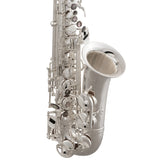 Selmer Model SAS511S Intermediate Alto Saxophone BRAND NEW
