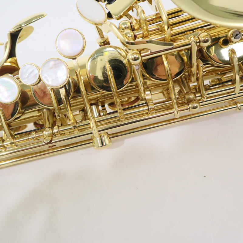 Selmer Model SAS711 Professional Alto Saxophone SN 22071398 OPEN BOX- for sale at BrassAndWinds.com