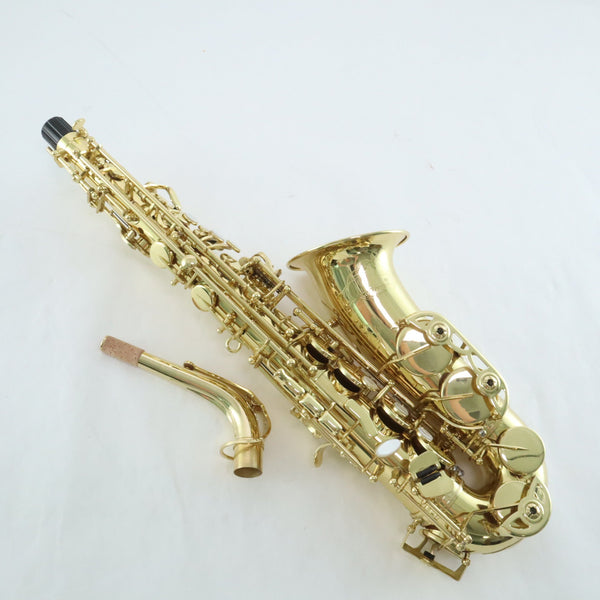 Selmer Model SAS711 Professional Alto Saxophone in Clear Lacquer MINT CONDITION- for sale at BrassAndWinds.com