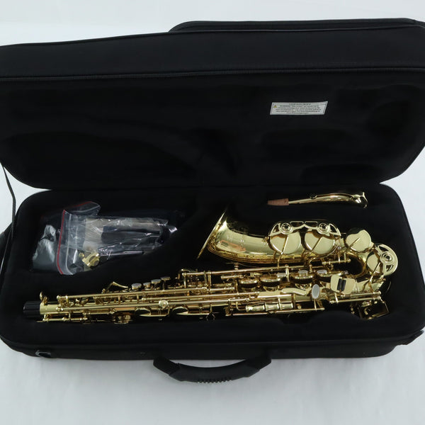 Selmer Model SAS711 Professional Alto Saxophone in Clear Lacquer MINT CONDITION- for sale at BrassAndWinds.com