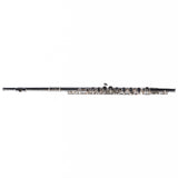 Selmer Model SFL301 Closed Hole Student Flute SN J0925101 NICE- for sale at BrassAndWinds.com