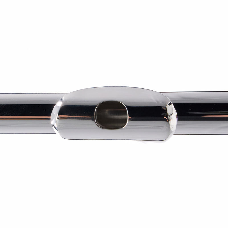 Selmer Model SFL301 Closed Hole Student Flute SN J0925101 NICE- for sale at BrassAndWinds.com