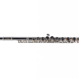 Selmer Model SFL301 Closed Hole Student Flute SN J0925101 NICE- for sale at BrassAndWinds.com