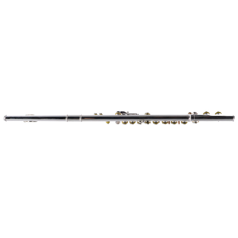 Selmer Model SFL301 Closed Hole Student Flute SN J0925101 NICE- for sale at BrassAndWinds.com