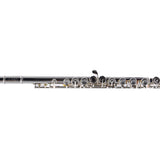 Selmer Model SFL301 Closed Hole Student Flute SN J0925335 NICE- for sale at BrassAndWinds.com