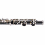Selmer Model SFL301 Closed Hole Student Flute SN J0925335 NICE- for sale at BrassAndWinds.com